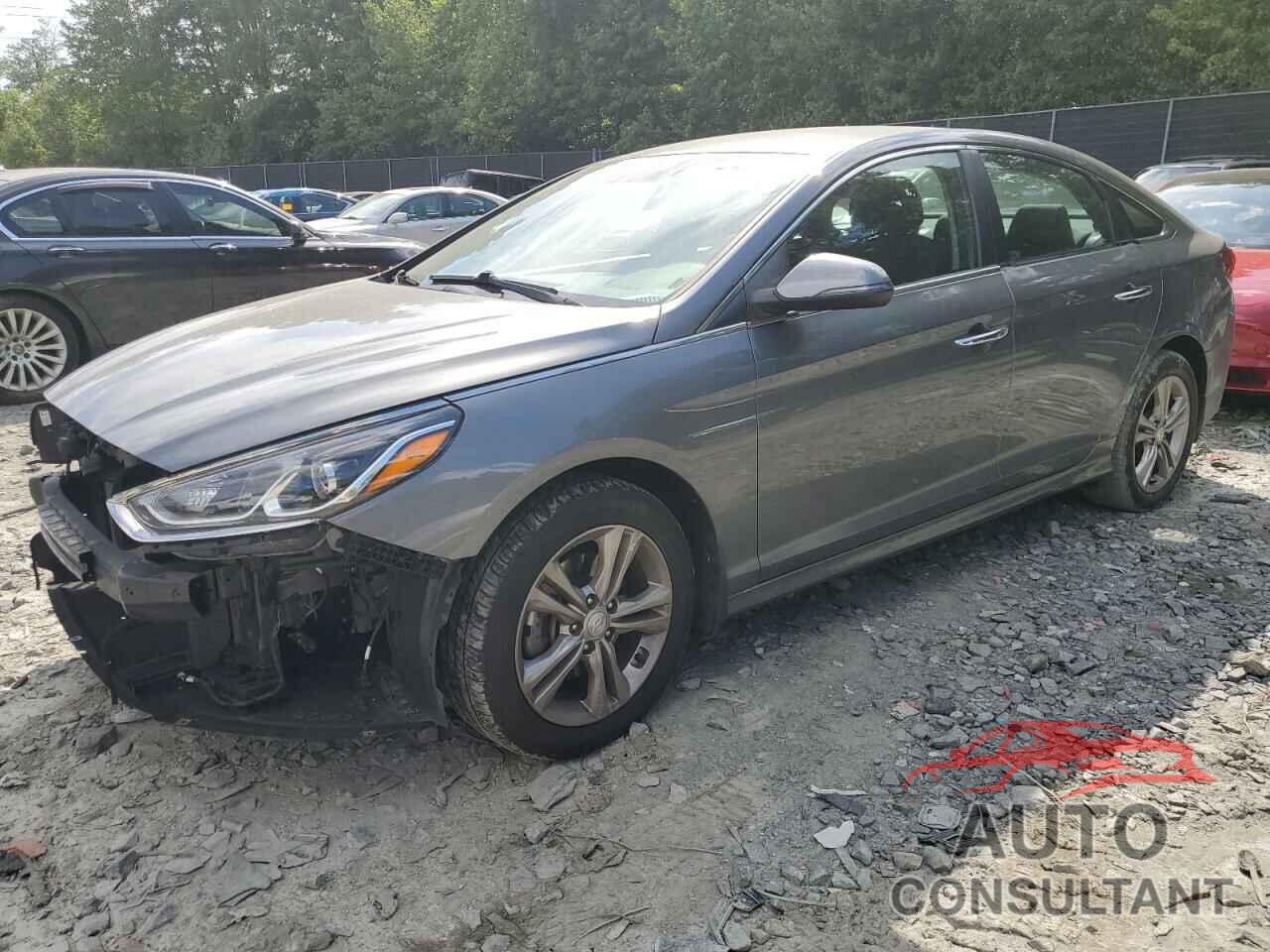 HYUNDAI SONATA 2019 - 5NPE34AF3KH806895