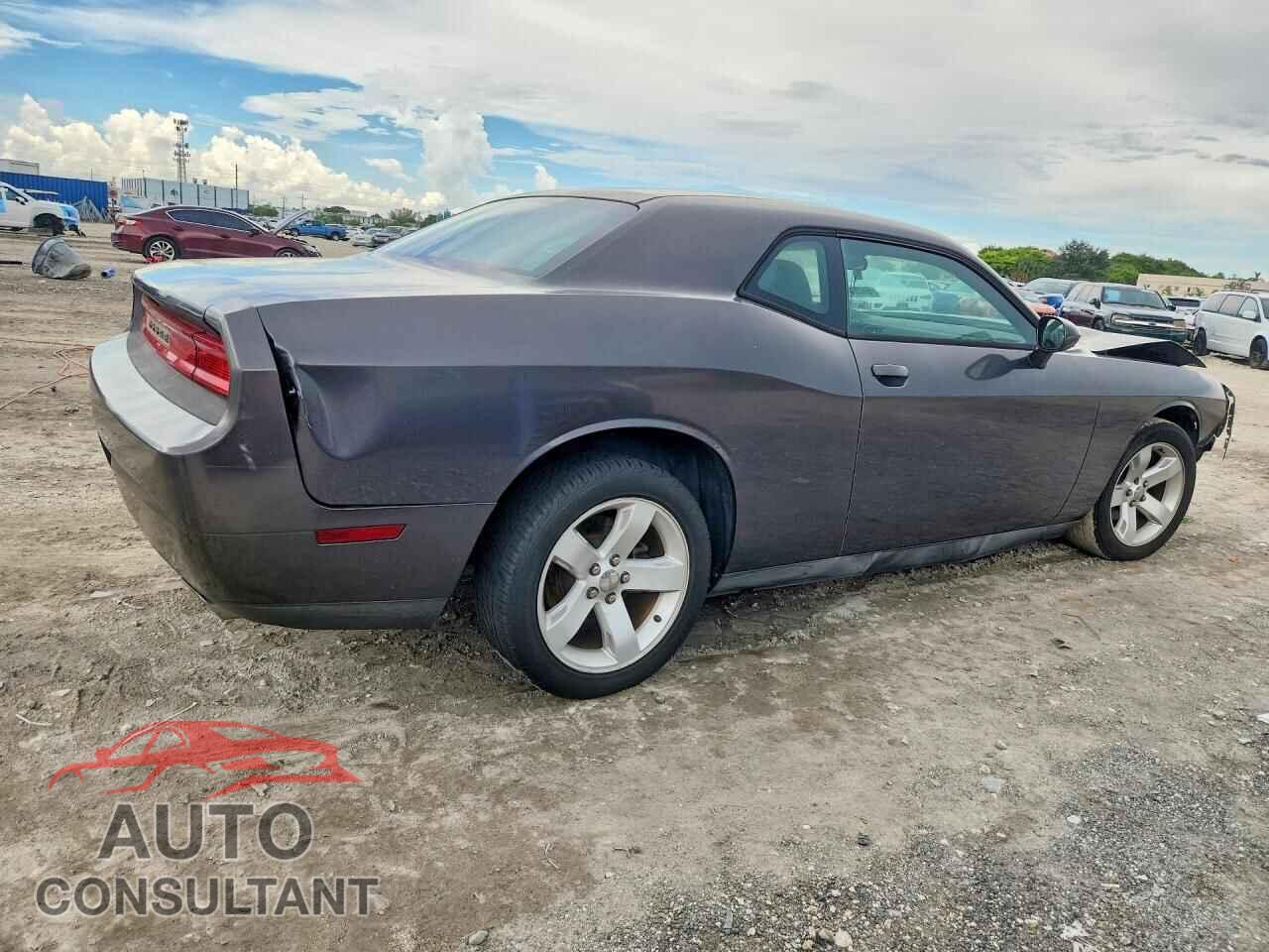 DODGE CHALLENGER 2013 - 2C3CDYAG4DH645610