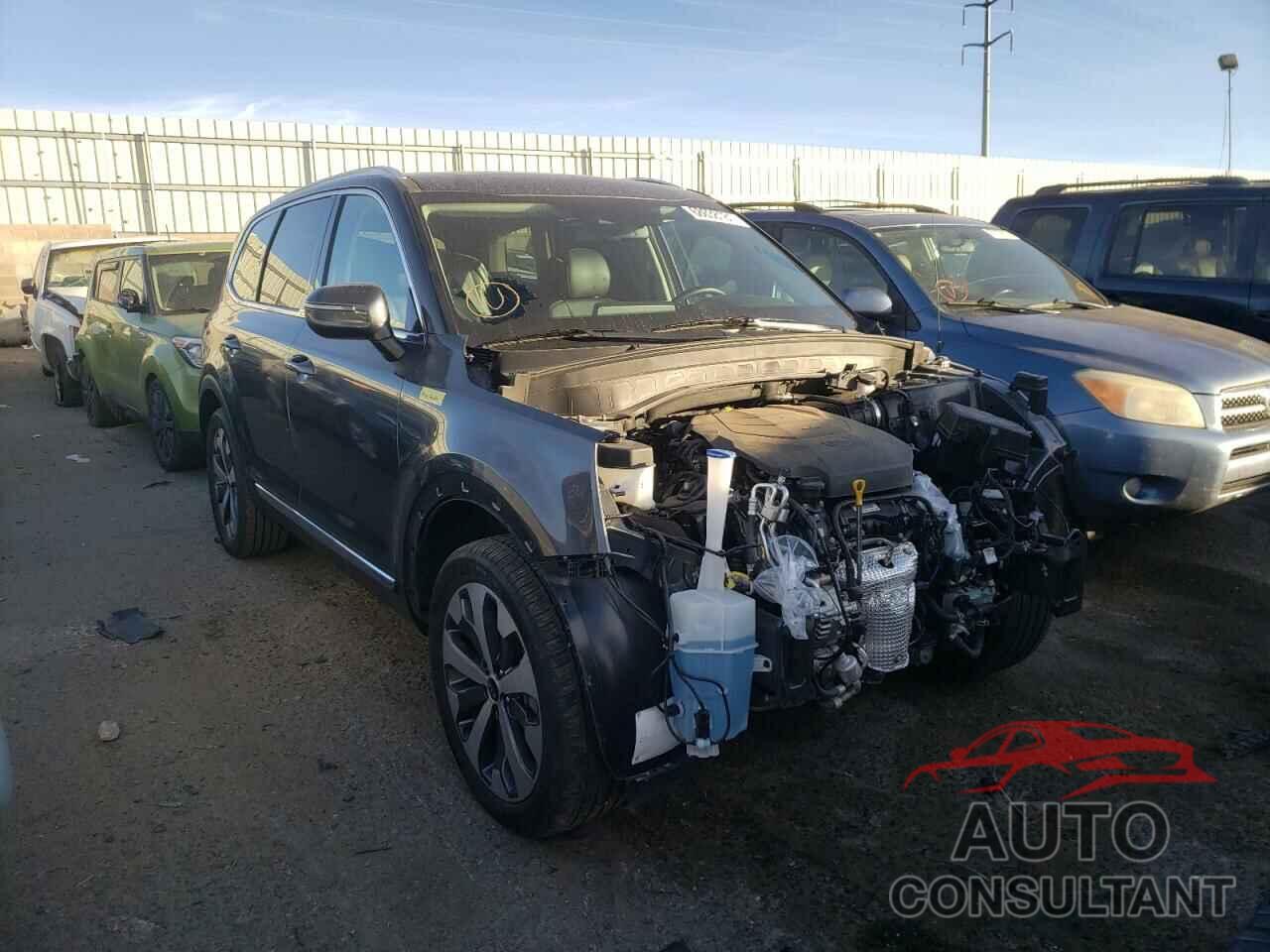 KIA TELLURIDE 2021 - 5XYP3DHC8MG106076