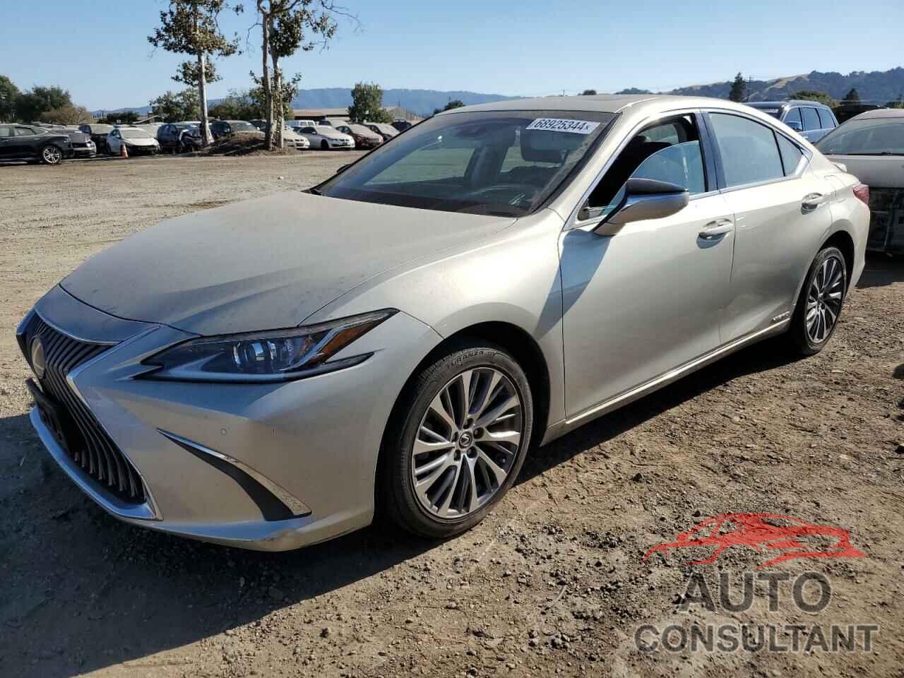 LEXUS ES300 2019 - 58AB21B19KU002778