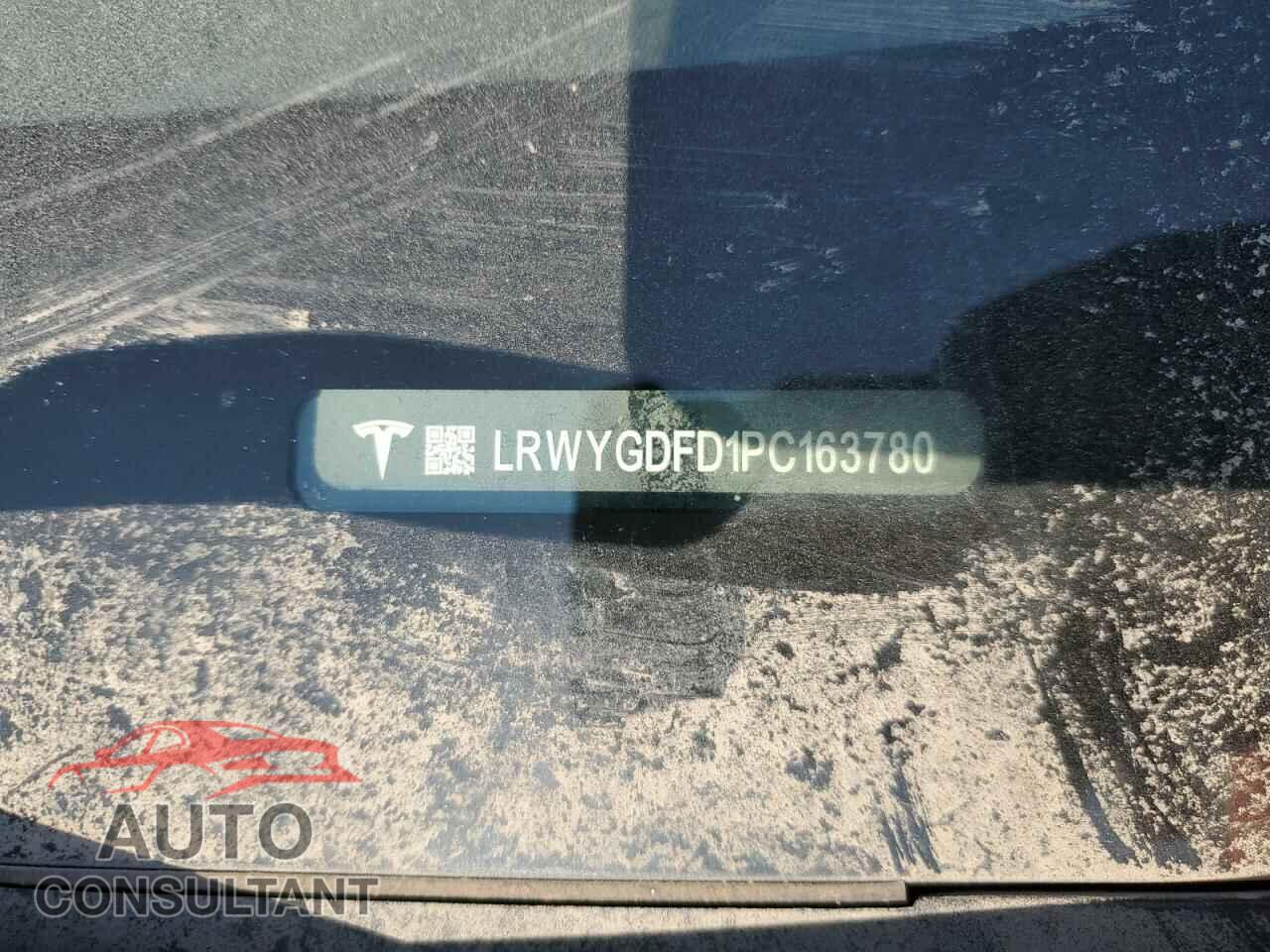 TESLA MODEL Y 2023 - LRWYGDFD1PC163780