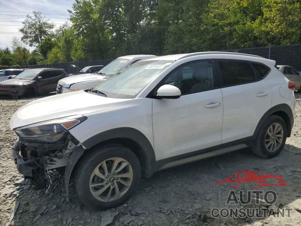 HYUNDAI TUCSON 2017 - KM8J3CA48HU266753