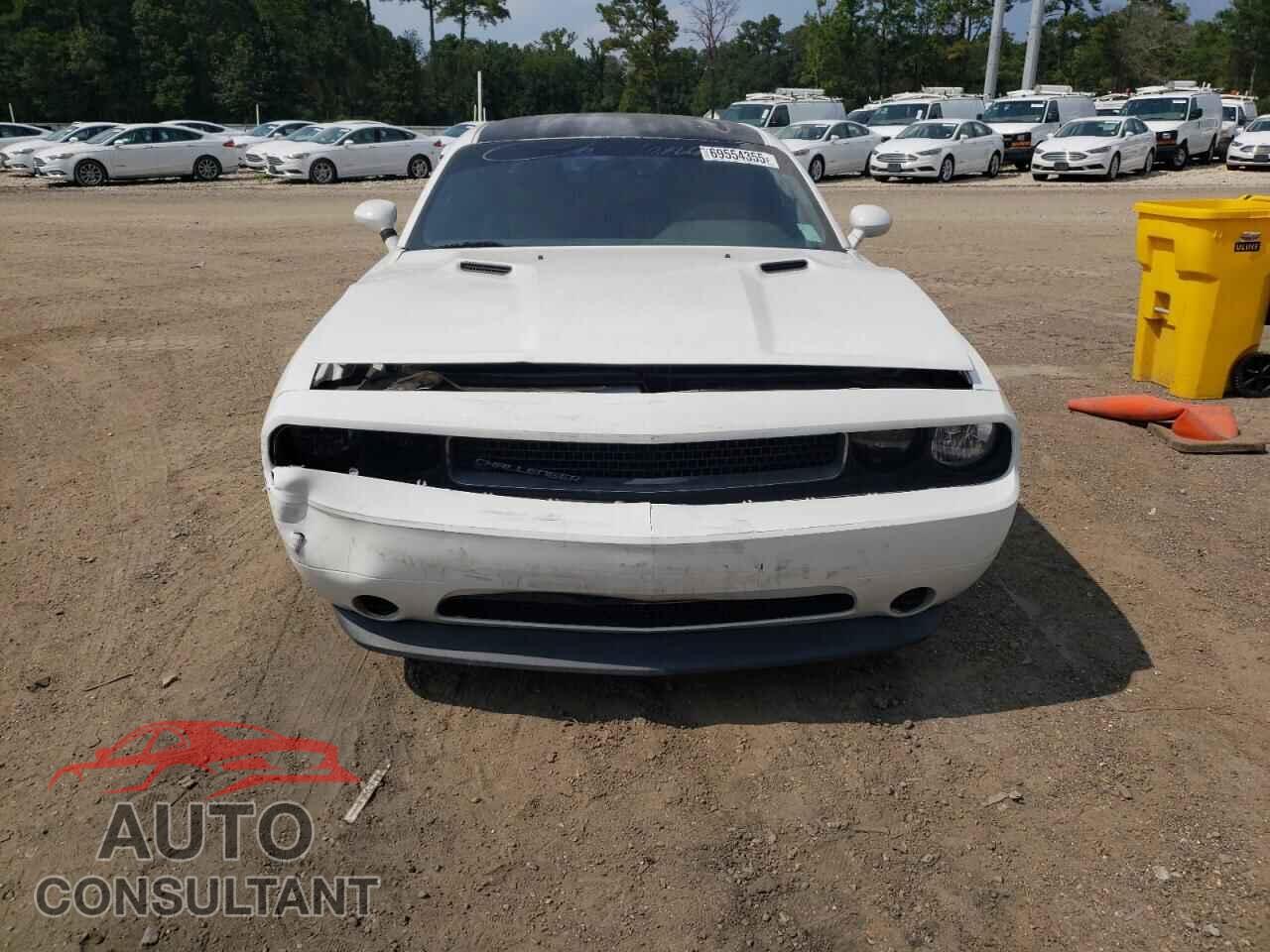 DODGE CHALLENGER 2013 - 2C3CDYAG5DH700095