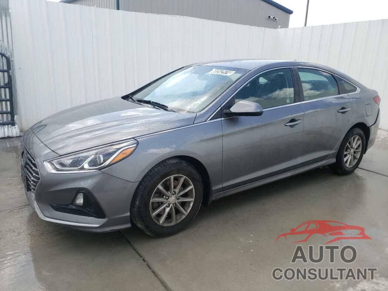 HYUNDAI SONATA 2019 - 5NPE24AF6KH741124