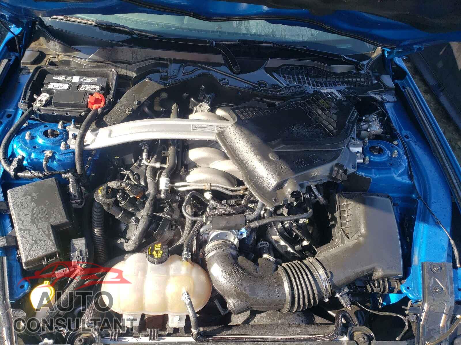 FORD MUSTANG 2019 - 1FA6P8CF6K5165972