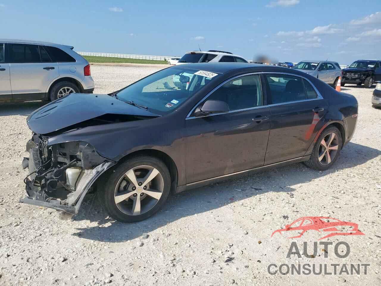CHEVROLET MALIBU 2011 - 1G1ZC5E17BF309051