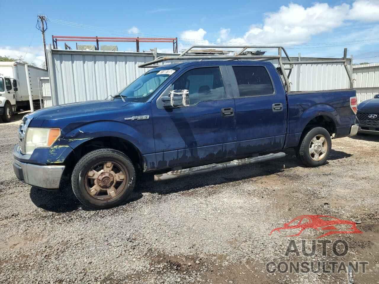 FORD F-150 2009 - 1FTRW128X9KB87893
