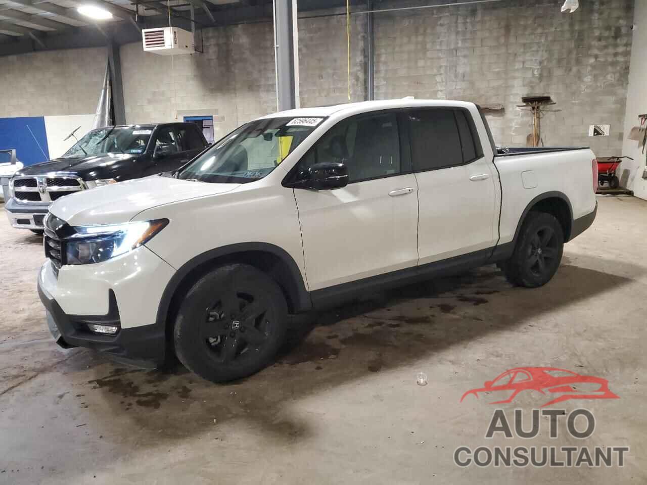 HONDA RIDGELINE 2023 - 5FPYK3F81PB061002