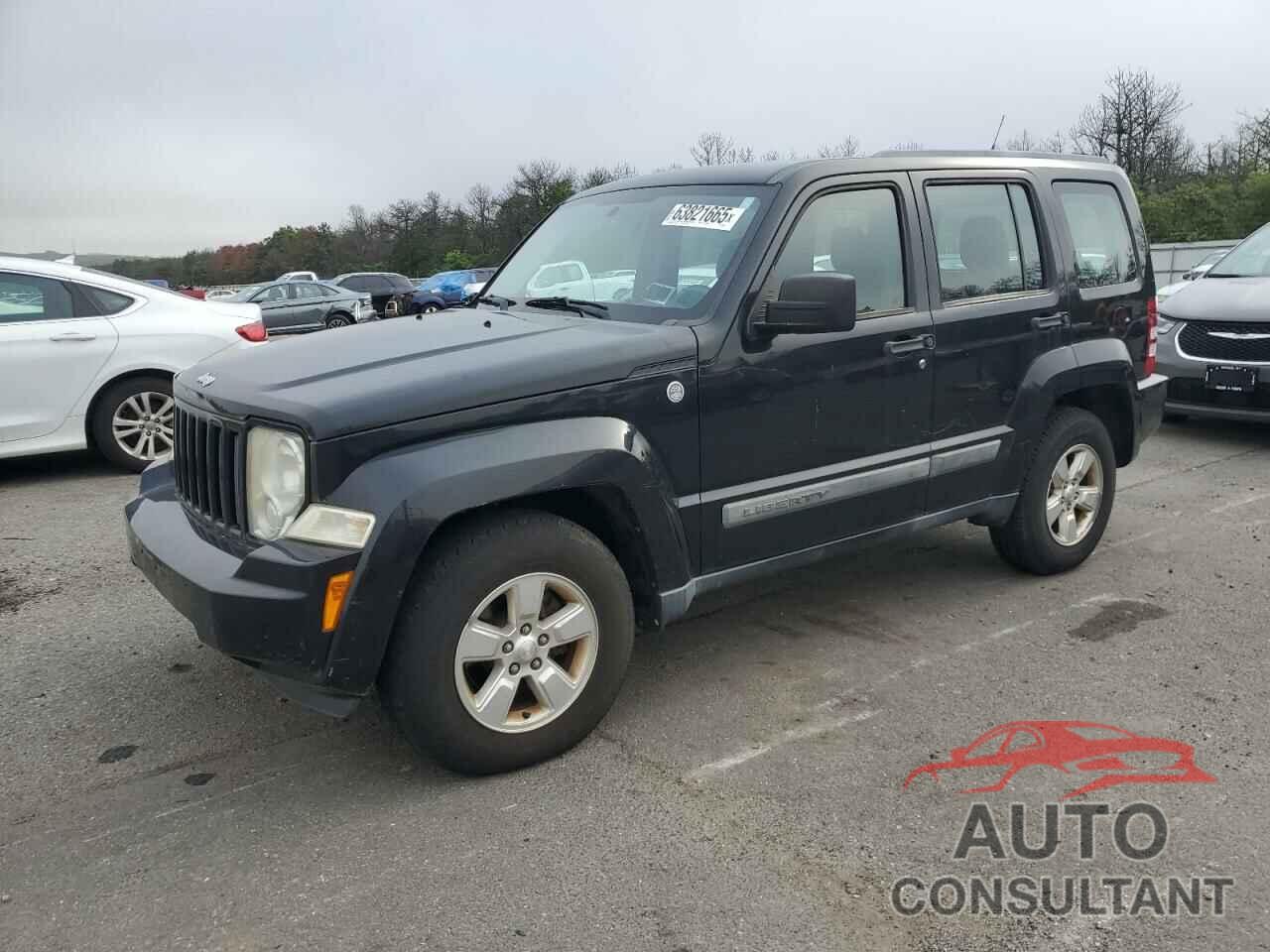 JEEP LIBERTY 2011 - 1J4PN2GKXBW566230