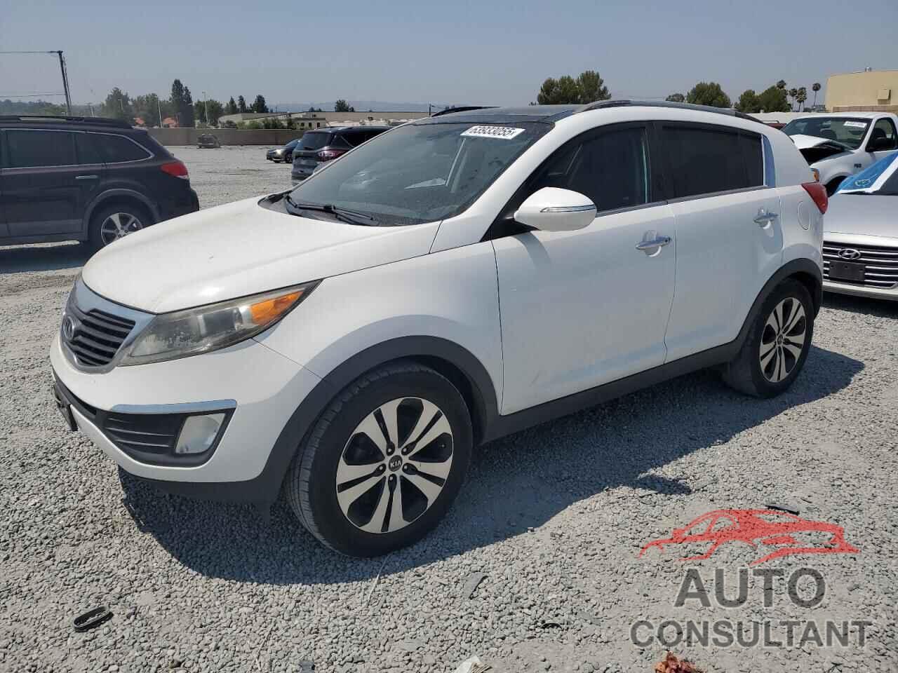 KIA SPORTAGE 2011 - KNDPC3A29B7066757