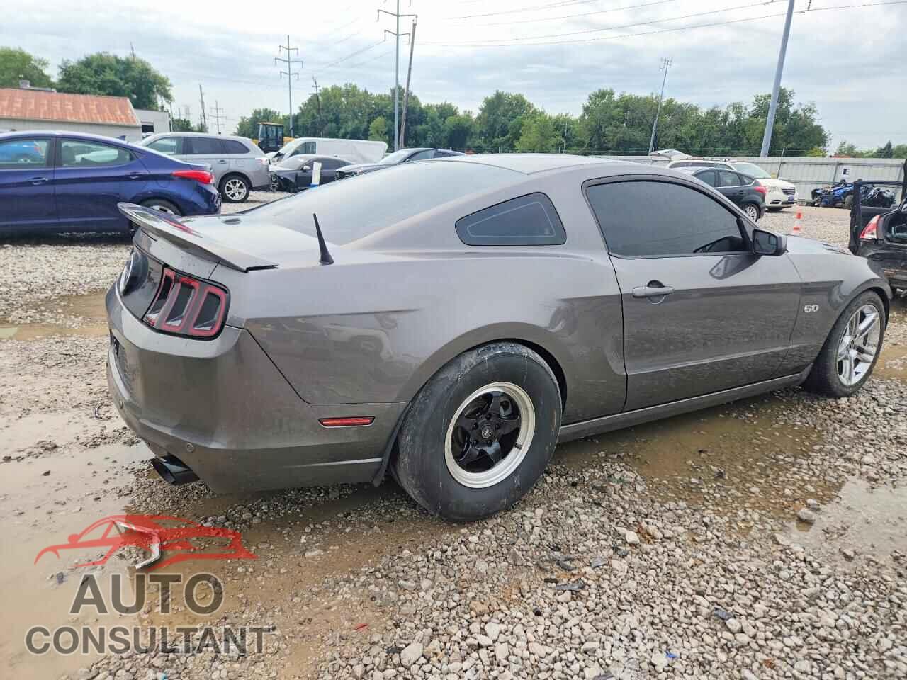 FORD MUSTANG 2013 - 1ZVBP8CF5D5231579