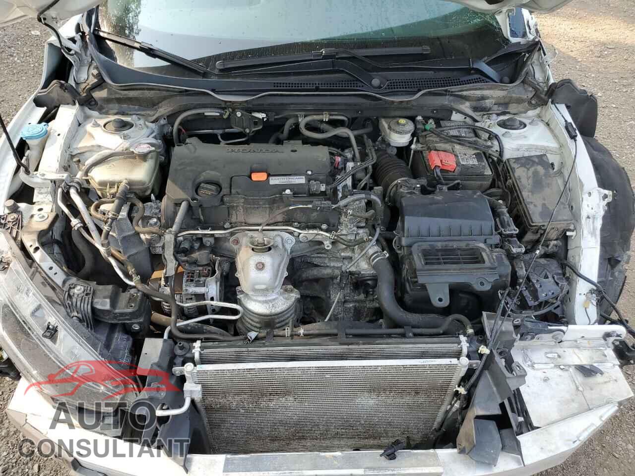 HONDA CIVIC 2019 - 2HGFC2F51KH007765