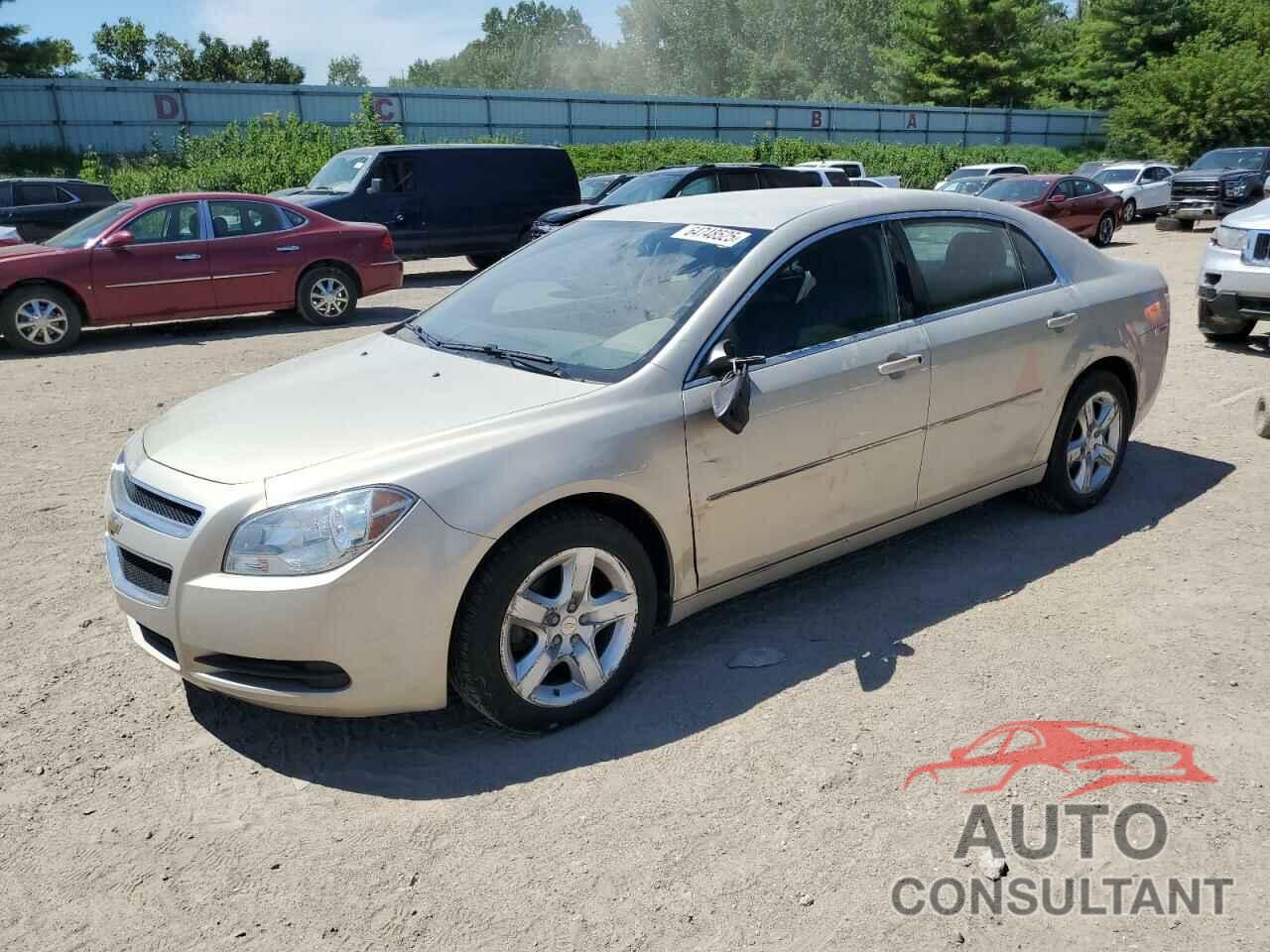 CHEVROLET MALIBU 2010 - 1G1ZB5EB5AF227412