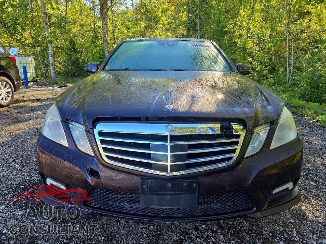 MERCEDES-BENZ E-CLASS 2010 - WDDHF8HB6AA086163