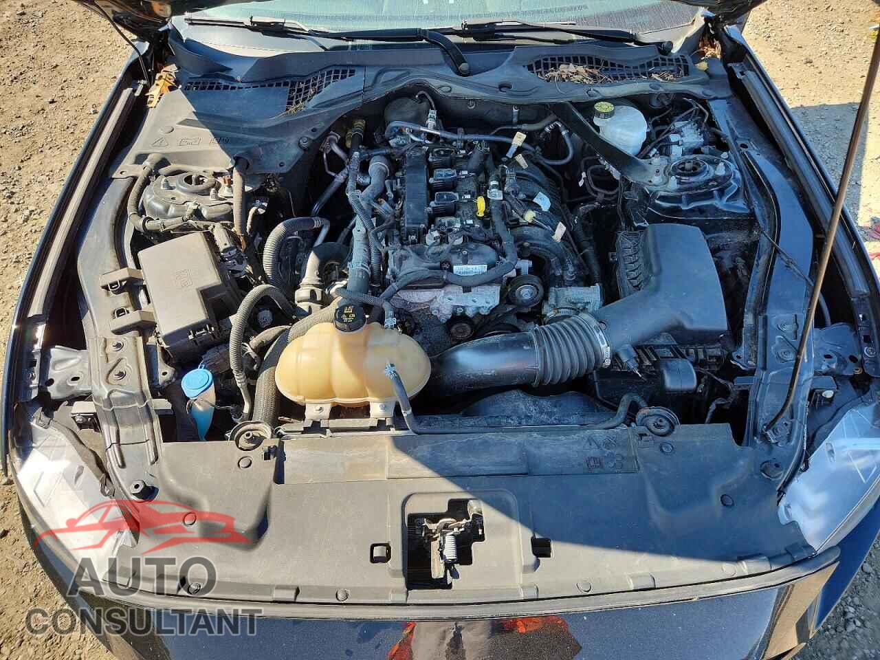 FORD MUSTANG 2021 - 1FATP8UH2M5116726