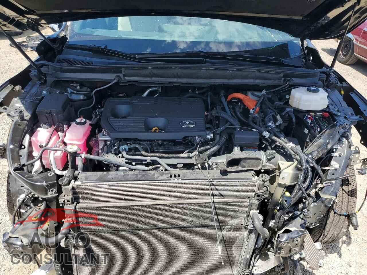 LEXUS UNKNOWN 2023 - 2T2BBMCA9PC006390