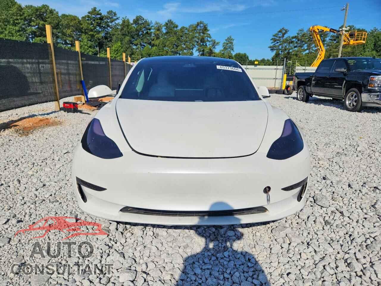 TESLA MODEL 3 2021 - 5YJ3E1EA5MF978104