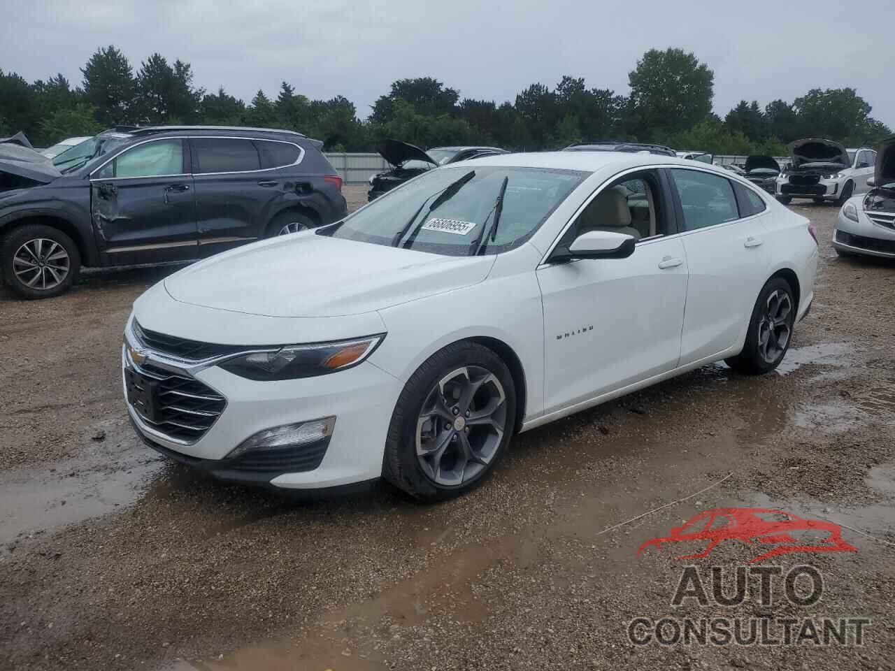 CHEVROLET MALIBU 2022 - 1G1ZD5ST3NF184380