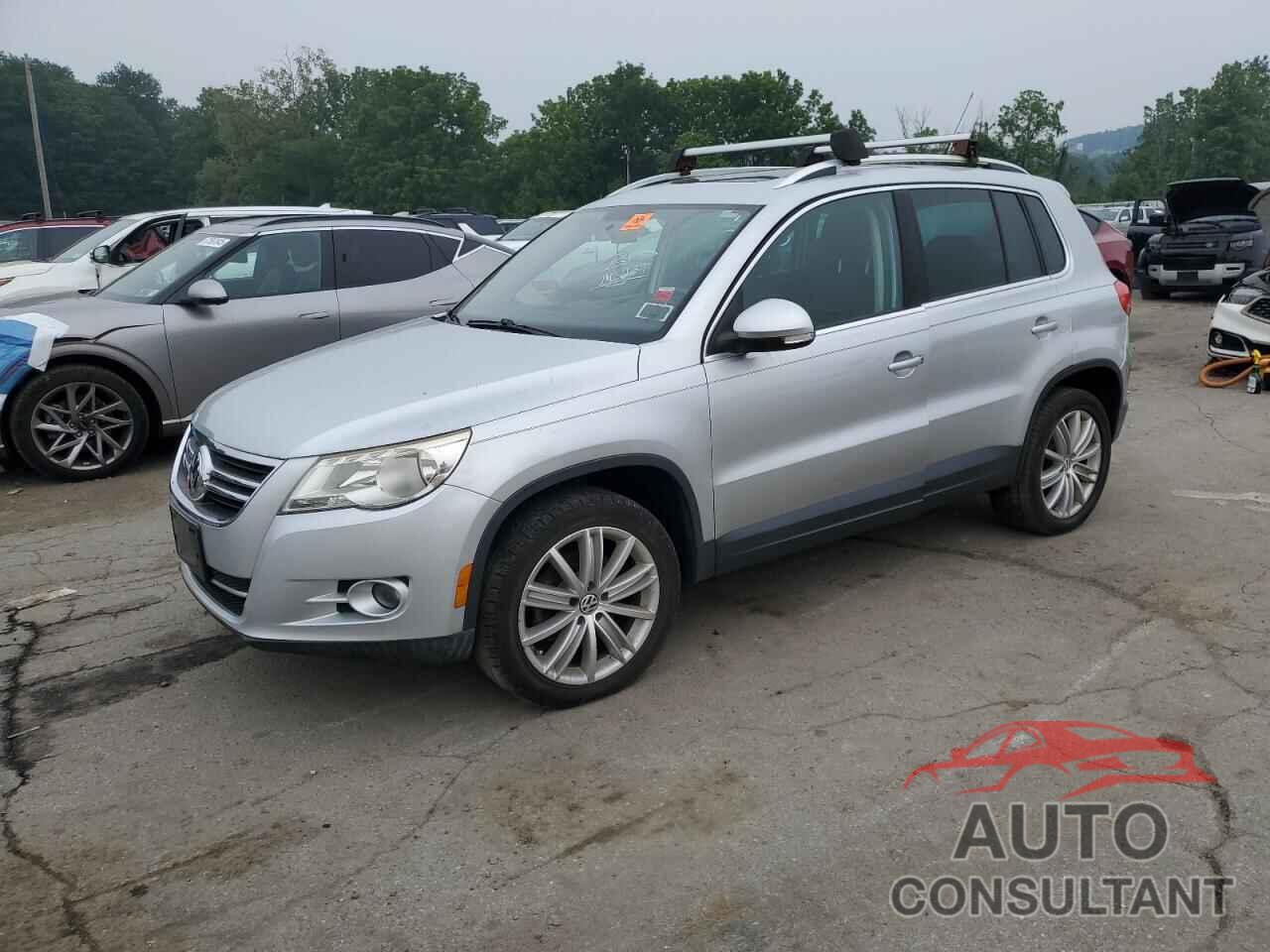 VOLKSWAGEN TIGUAN 2010 - WVGBV7AXXAW000709