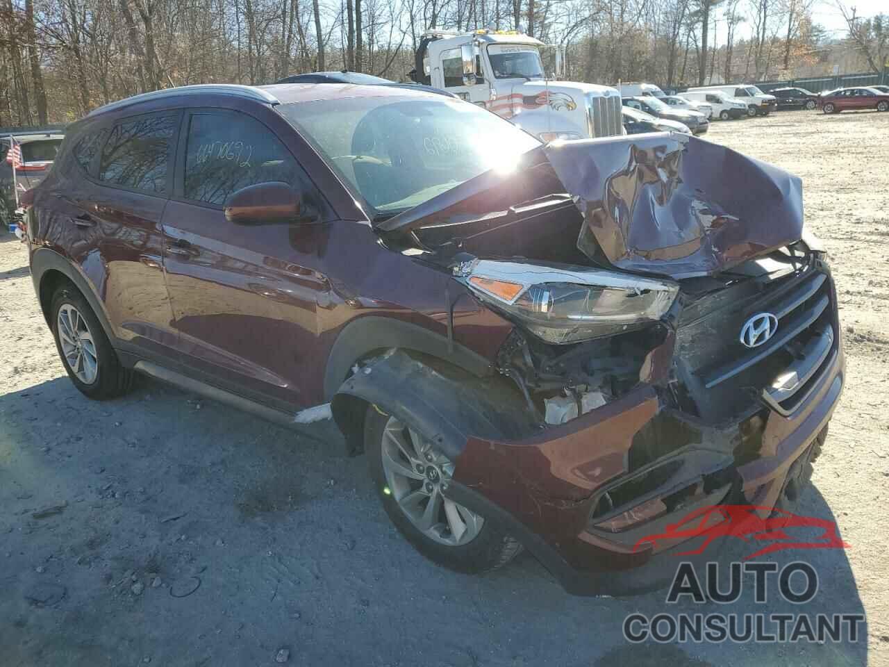 HYUNDAI TUCSON 2016 - KM8J33A4XGU235972