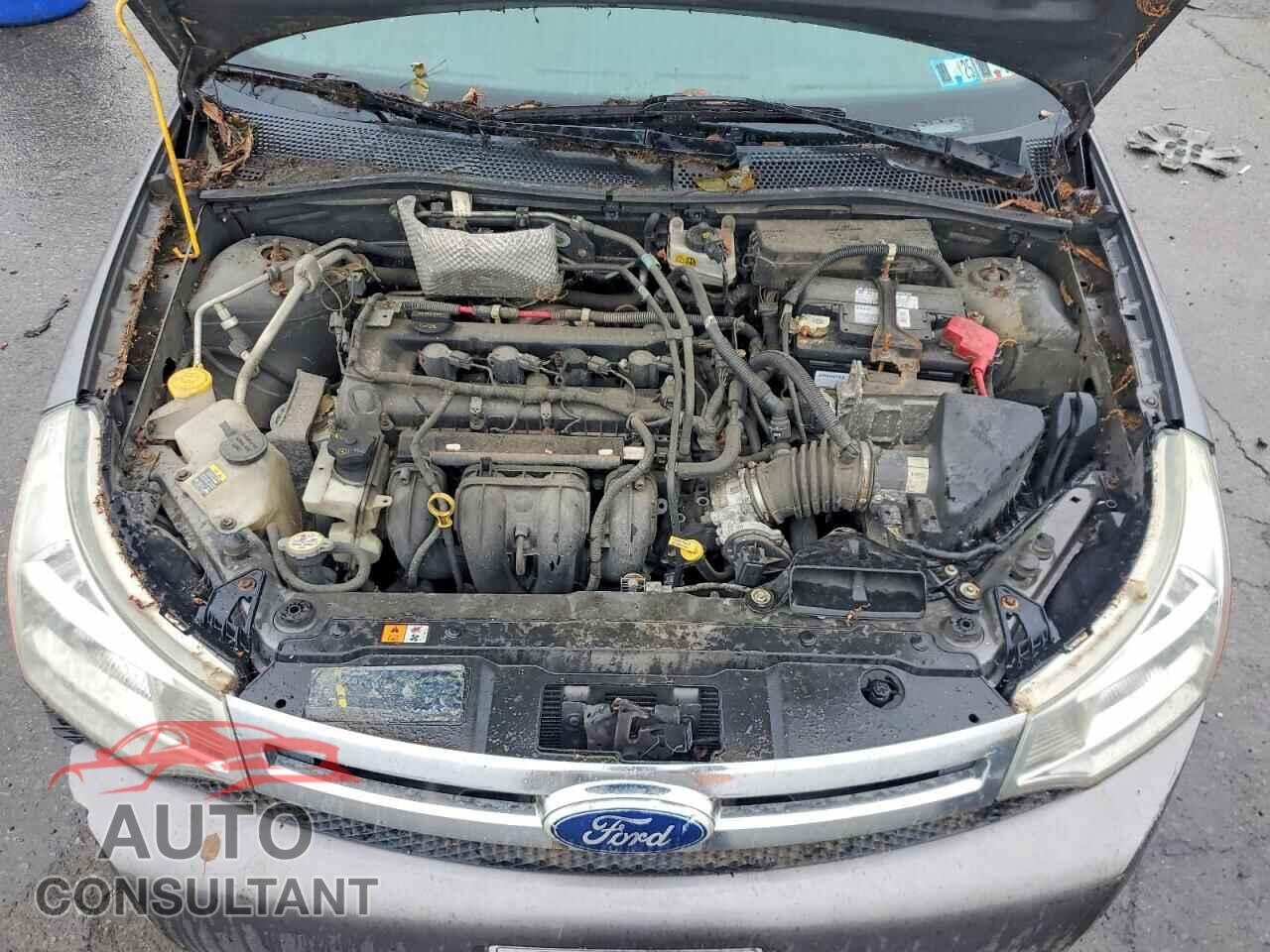 FORD FOCUS 2011 - 1FAHP3FN3BW100554