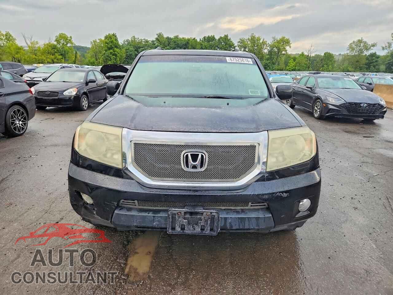HONDA PILOT 2009 - 5FNYF48999B045609
