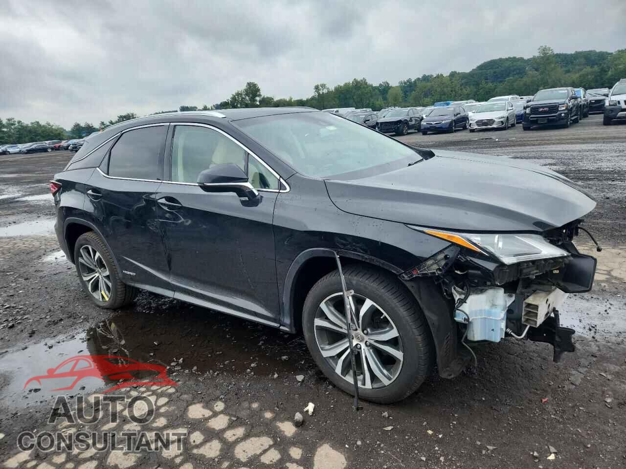 LEXUS RX450 2017 - 2T2BGMCA2HC013765