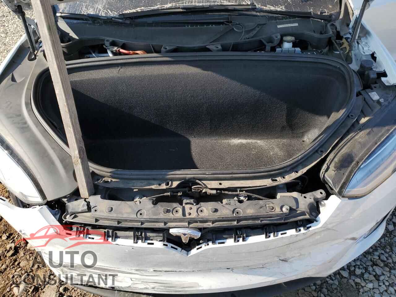 TESLA MODEL X 2020 - 5YJXCAE29LF218059