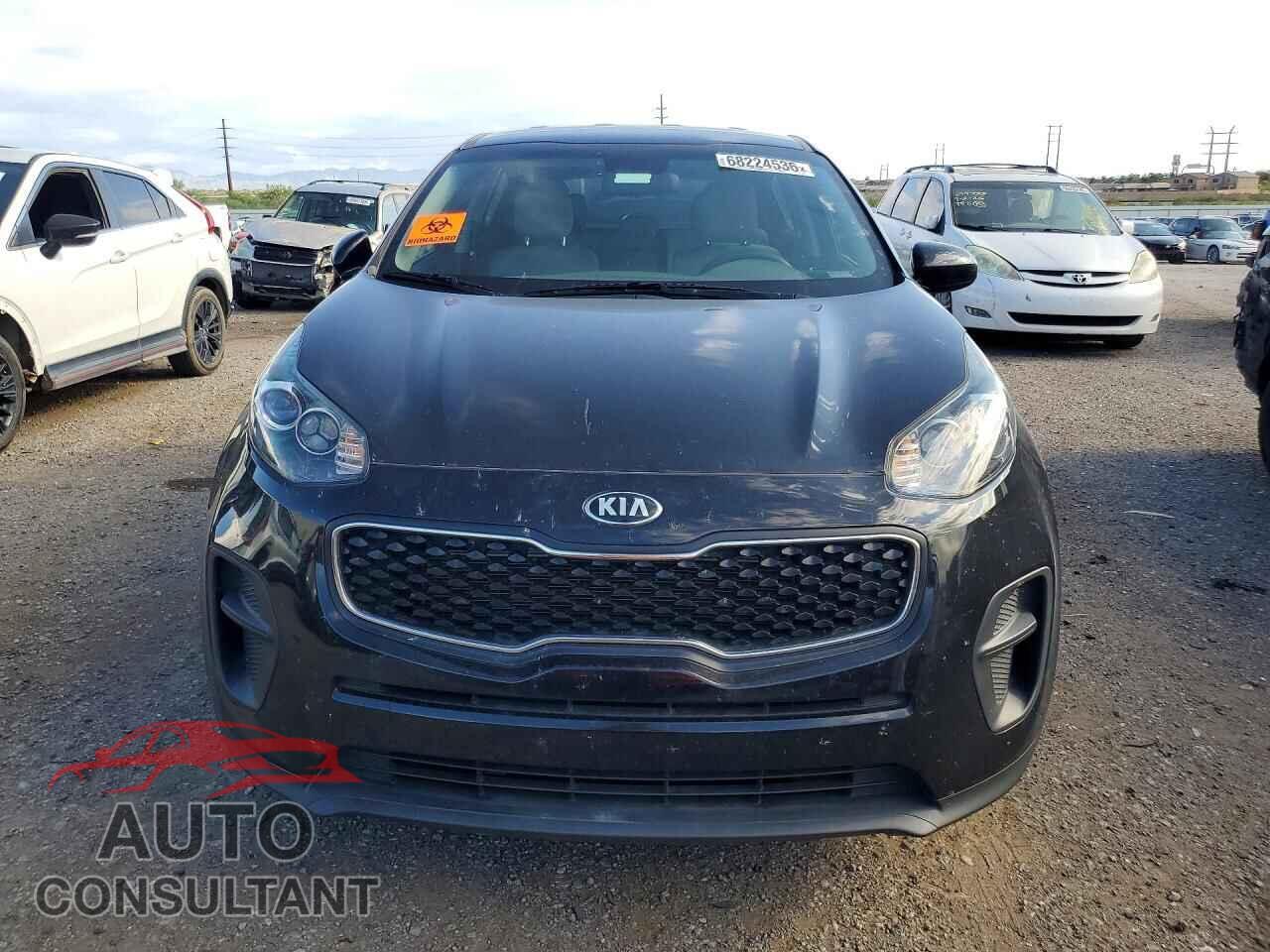 KIA SPORTAGE 2017 - KNDPM3AC4H7223755
