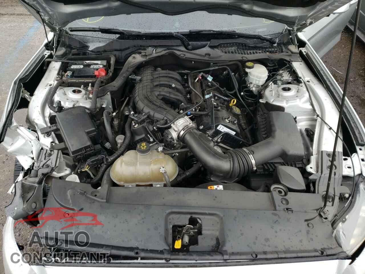 FORD MUSTANG 2017 - 1FA6P8AM8H5282124