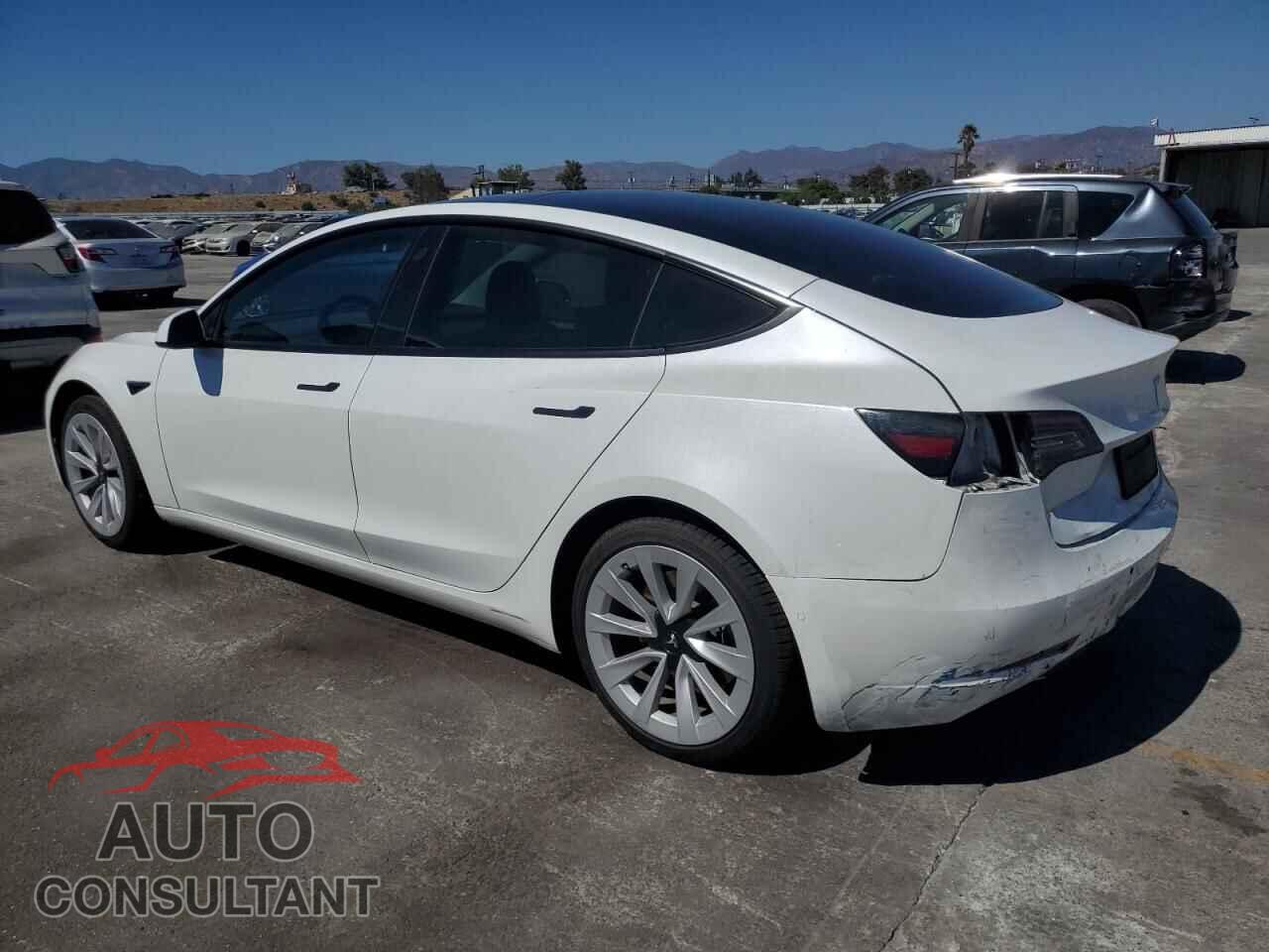 TESLA MODEL 3 2021 - 5YJ3E1EA8MF067233