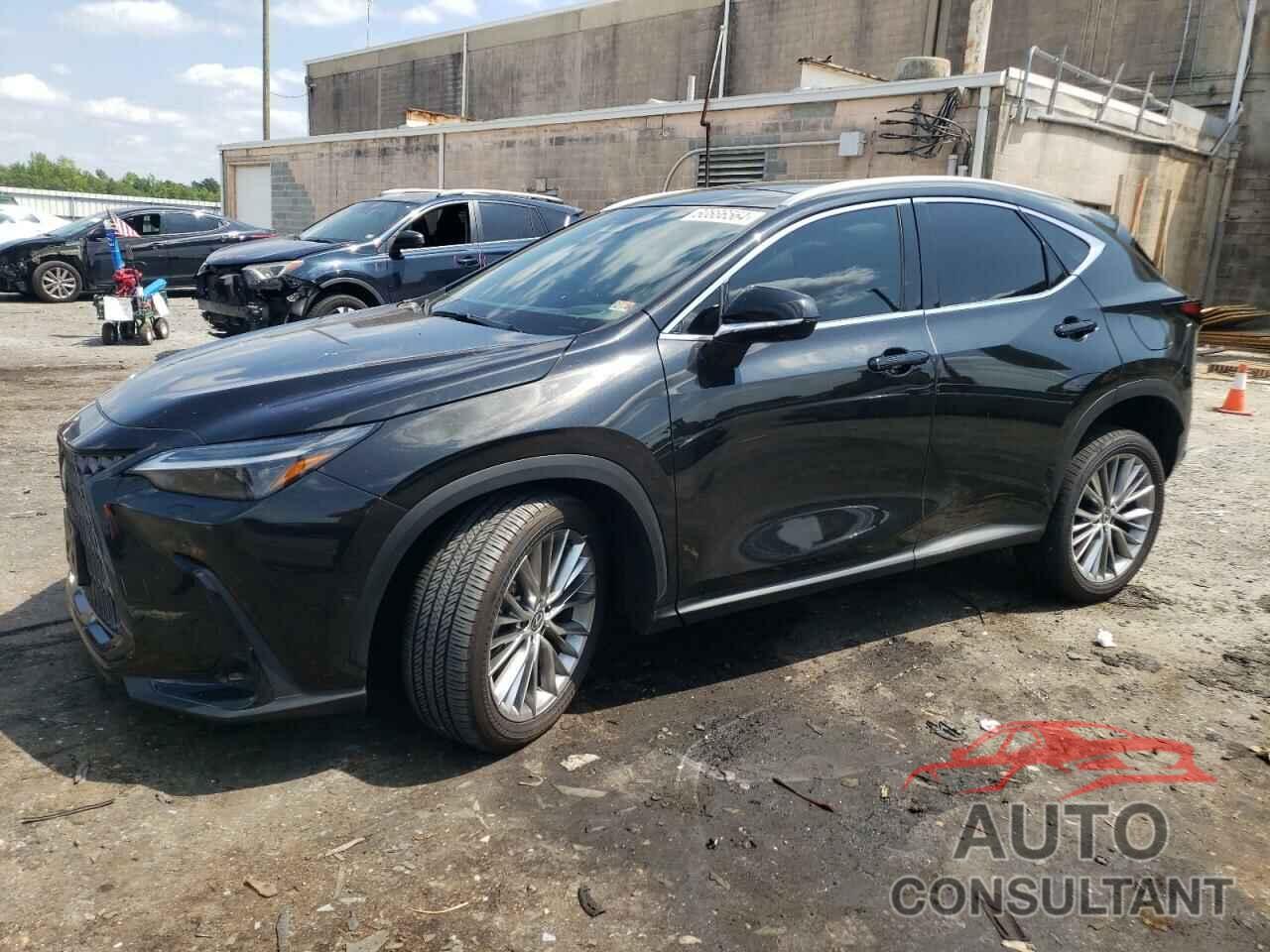 LEXUS NX 350H BA 2024 - 2T2HKCEZ3RC026337