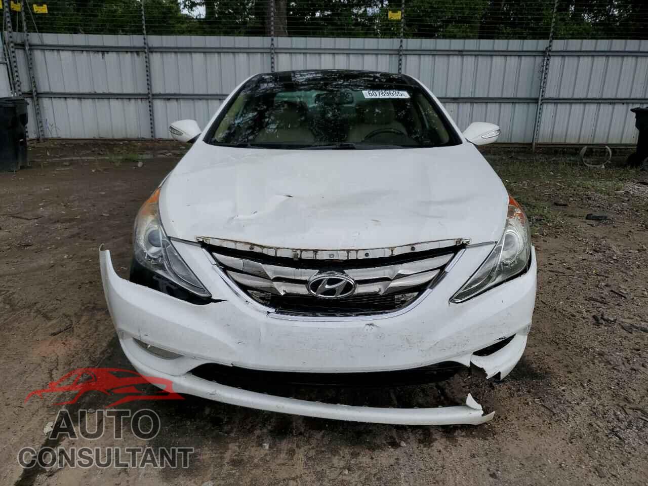 HYUNDAI SONATA 2013 - 5NPEC4AC7DH568977