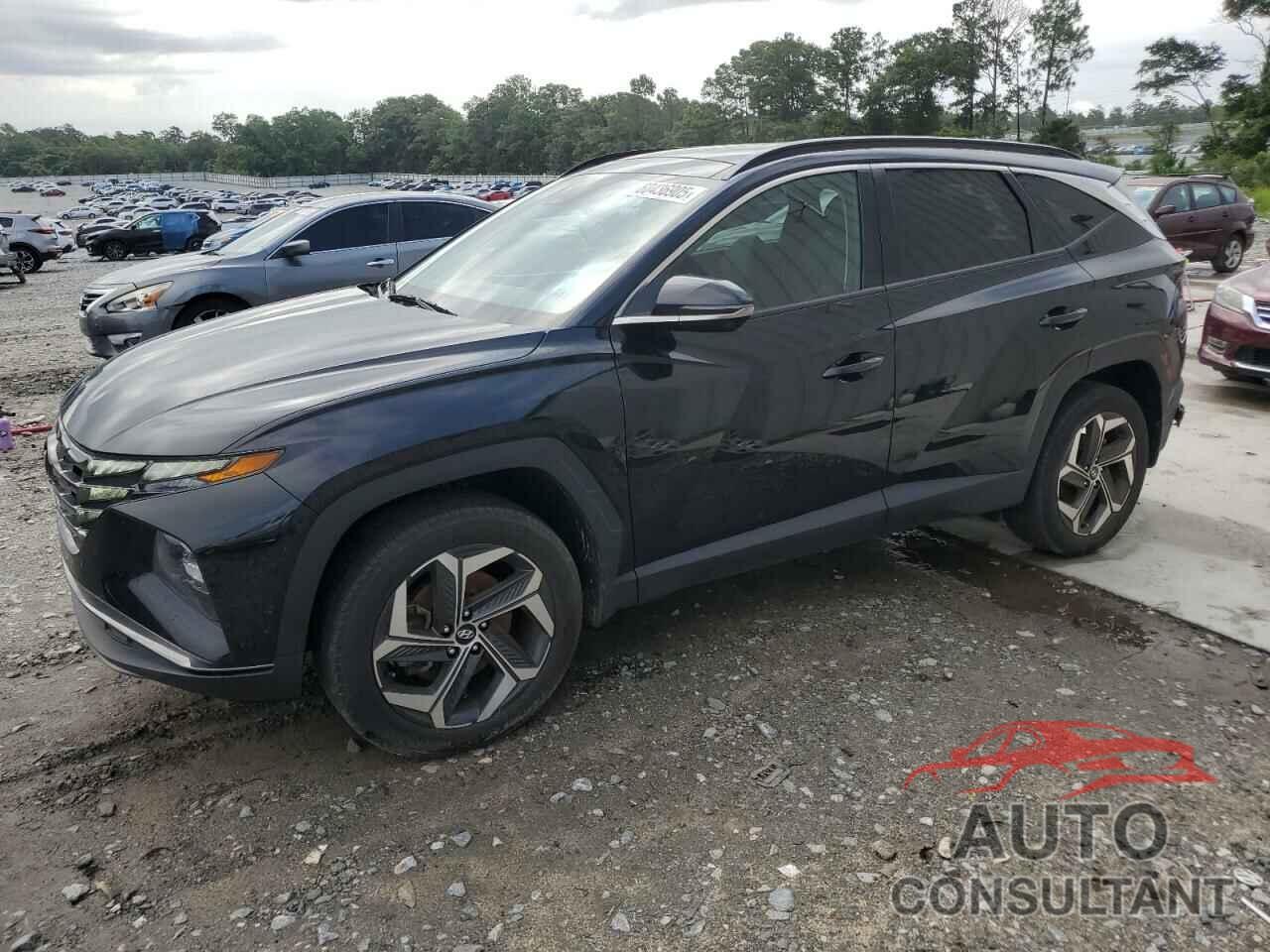HYUNDAI TUCSON 2023 - 5NMJECAE2PH201393
