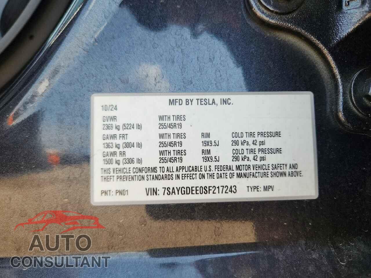 TESLA MODEL Y 2025 - 7SAYGDEE0SF217243