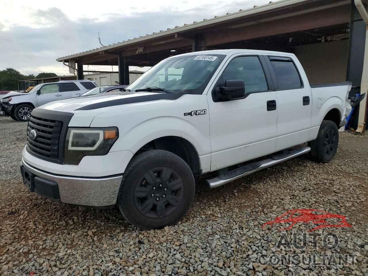 FORD F-150 2010 - 1FTEW1C8XAFB67783