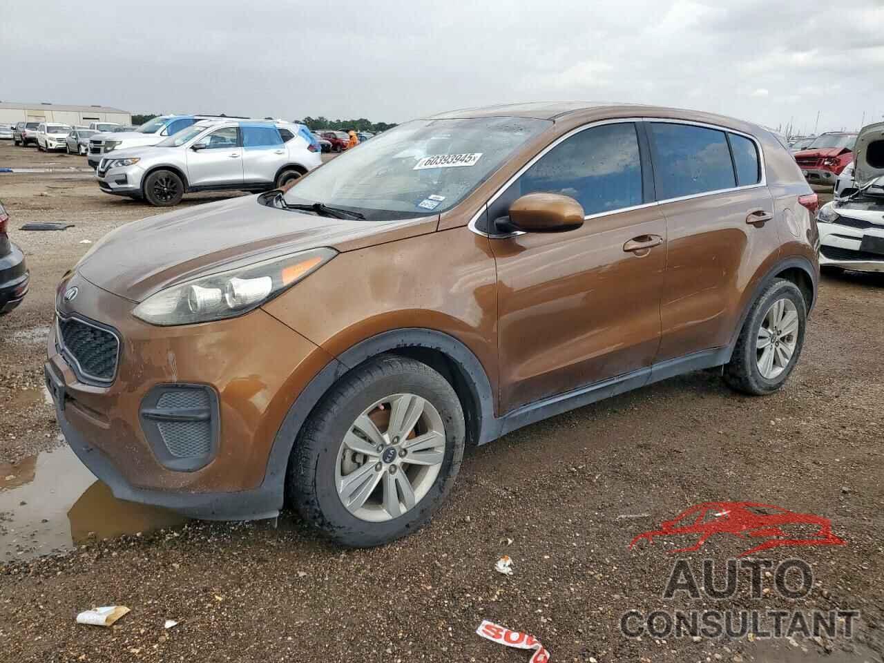 KIA SPORTAGE 2019 - KNDPM3ACXK7563127