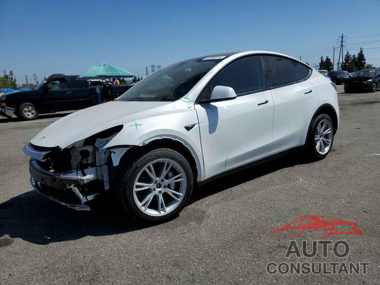 TESLA MODEL Y 2024 - 7SAYGDEE2RF088772