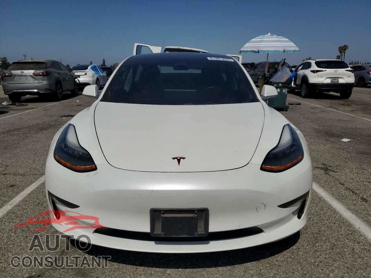 TESLA MODEL 3 2019 - 5YJ3E1EA0KF311650