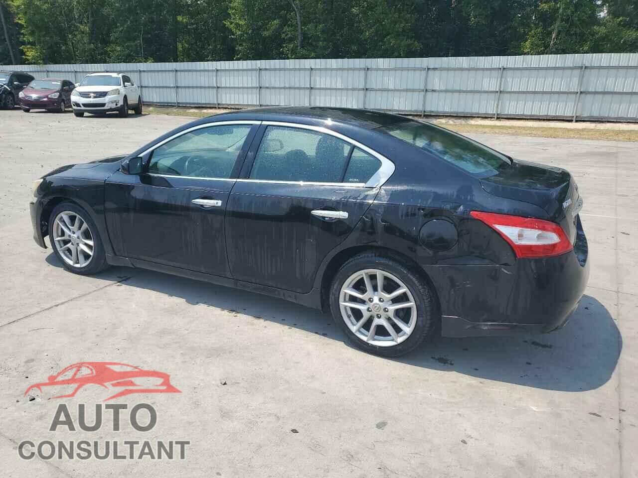 NISSAN MAXIMA 2009 - 1N4AA51E09C837101