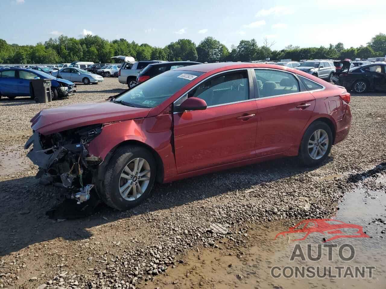 HYUNDAI SONATA 2016 - 5NPE24AF7GH310654
