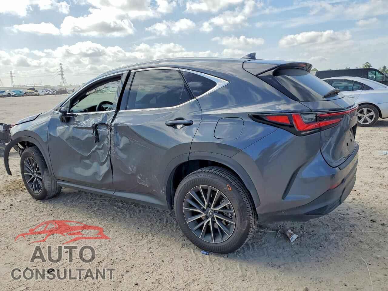 LEXUS NX 2025 - 2T2GDCAZ1SC028993