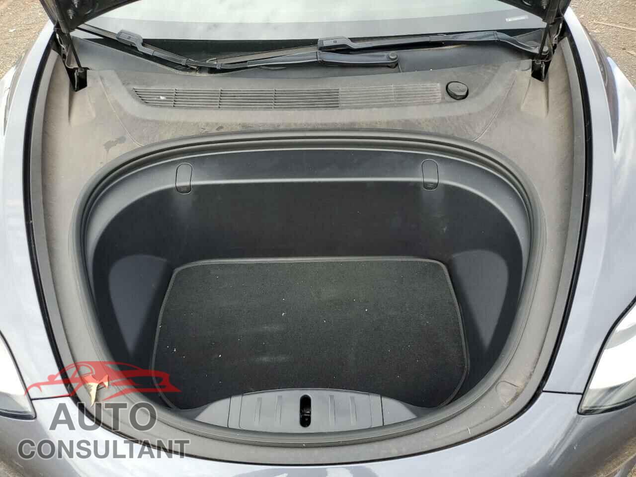 TESLA MODEL 3 2019 - 5YJ3E1EB7KF205897