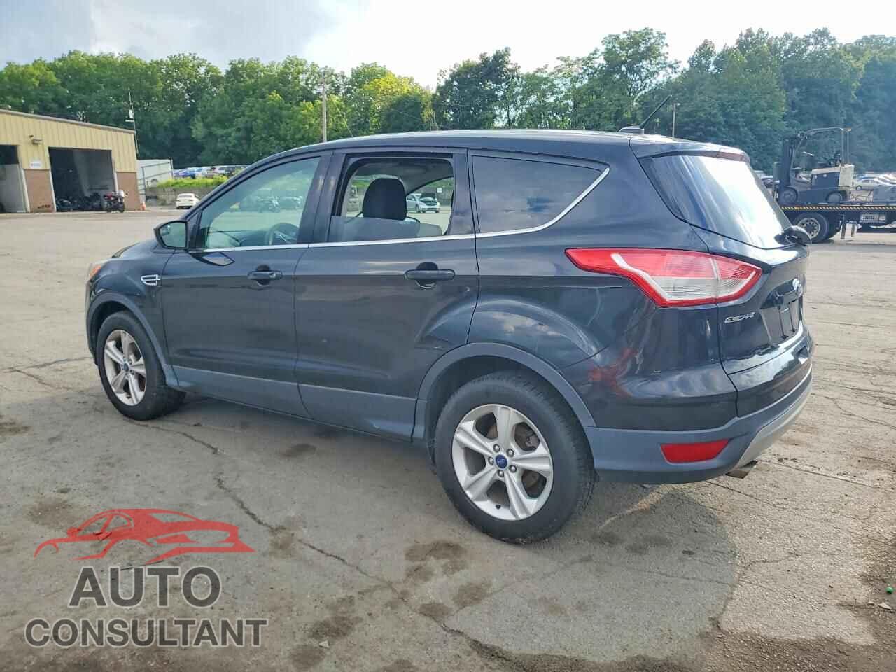 FORD ESCAPE 2014 - 1FMCU9GX0EUE38456