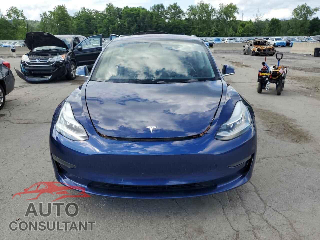 TESLA MODEL 3 2019 - 5YJ3E1EA3KF299638