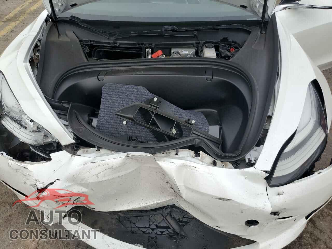 TESLA MODEL 3 2019 - 5YJ3E1EA4KF300294