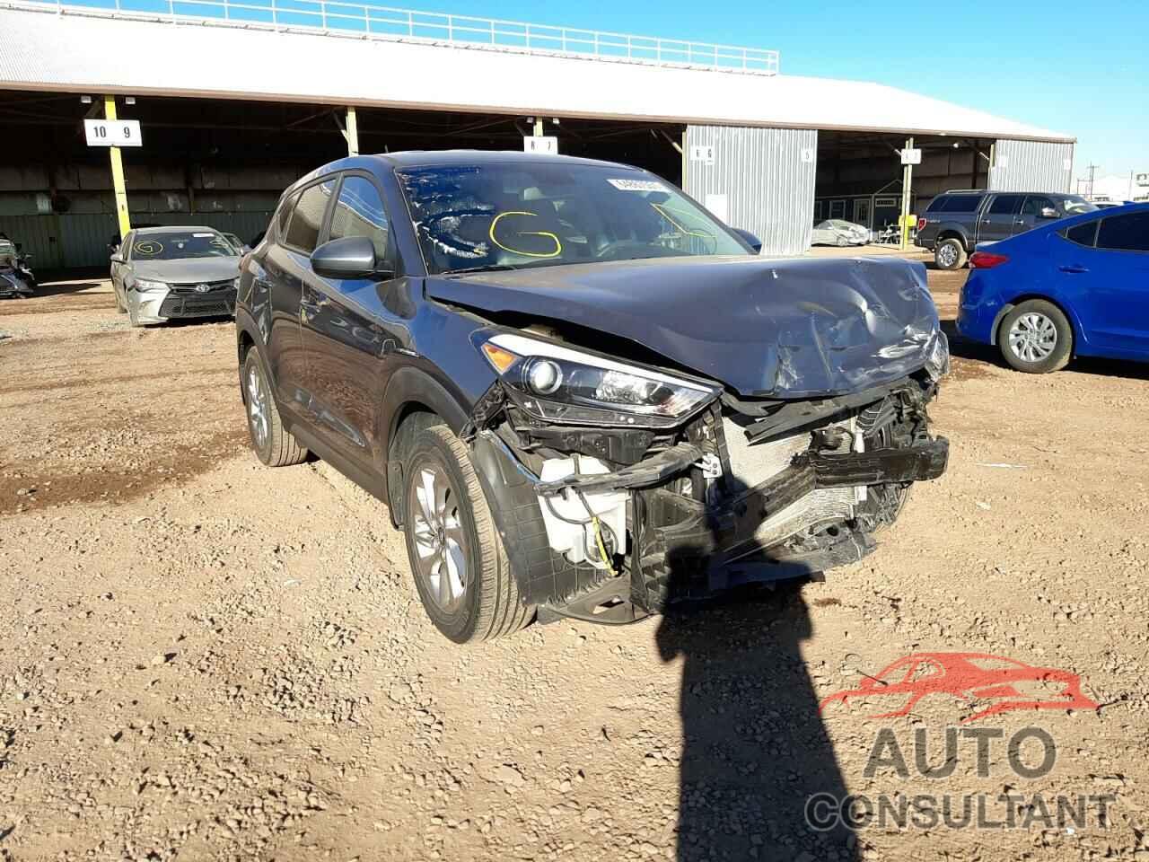 HYUNDAI TUCSON 2017 - KM8J23A49HU425167