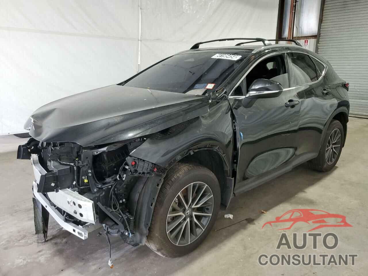 LEXUS NX 350H BA 2024 - 2T2AKCEZ1RC025477