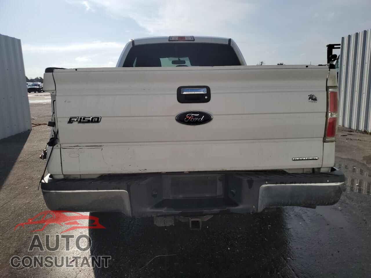 FORD F-150 2013 - 1FTFX1CF8DFE09135