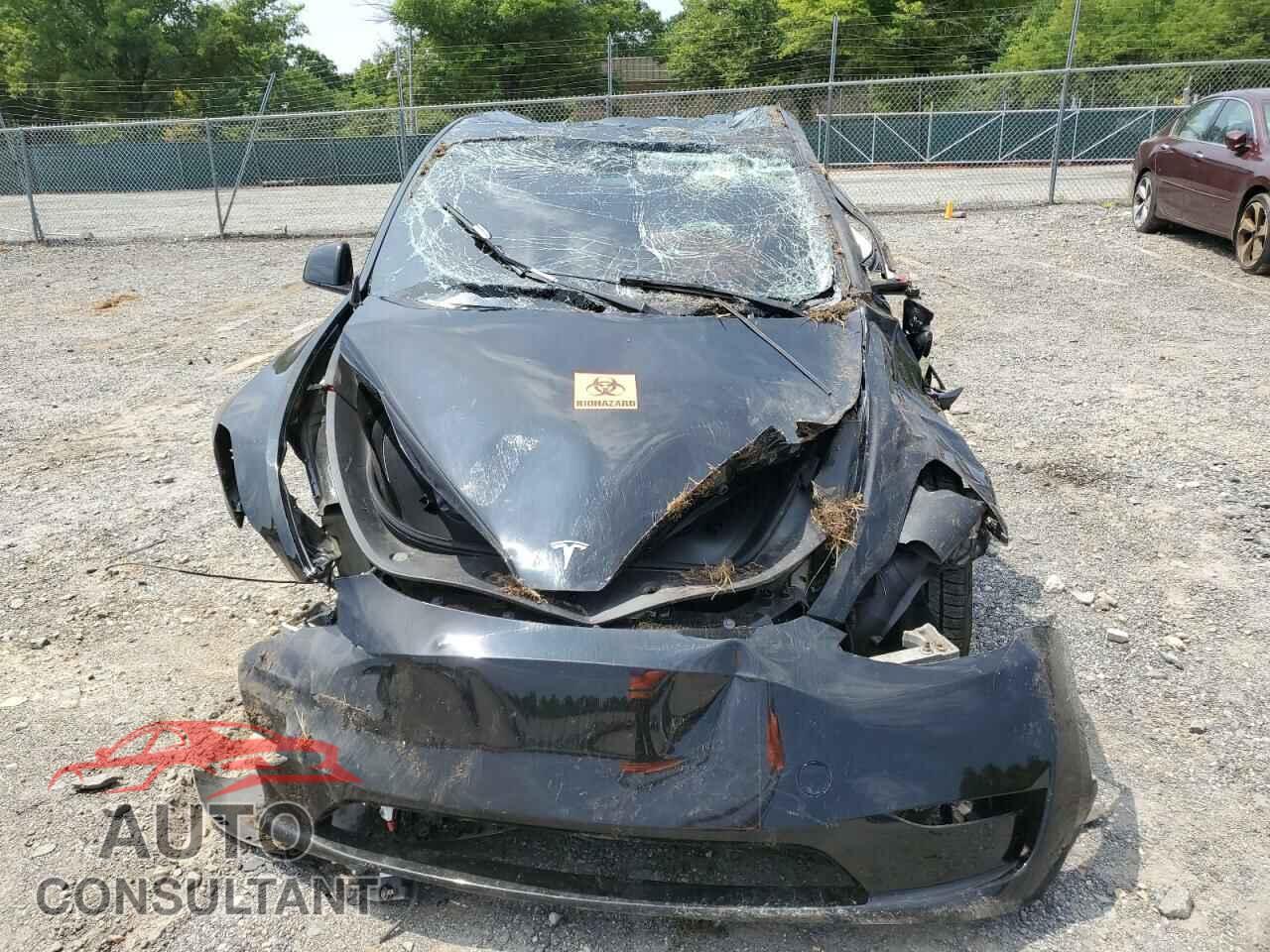 TESLA MODEL Y 2023 - 7SAYGDEF5PF903519